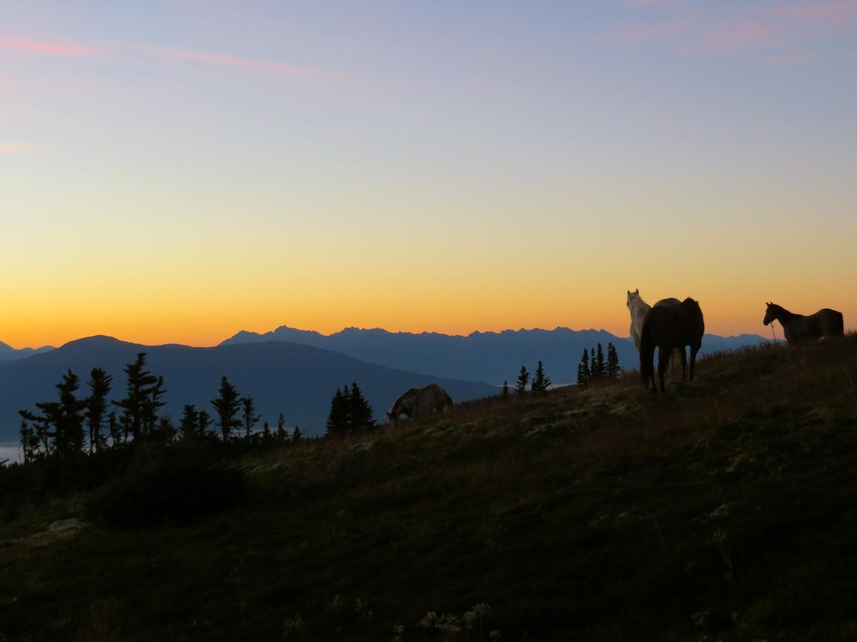 Bear Claw Lodge Kispiox Kültér fotó