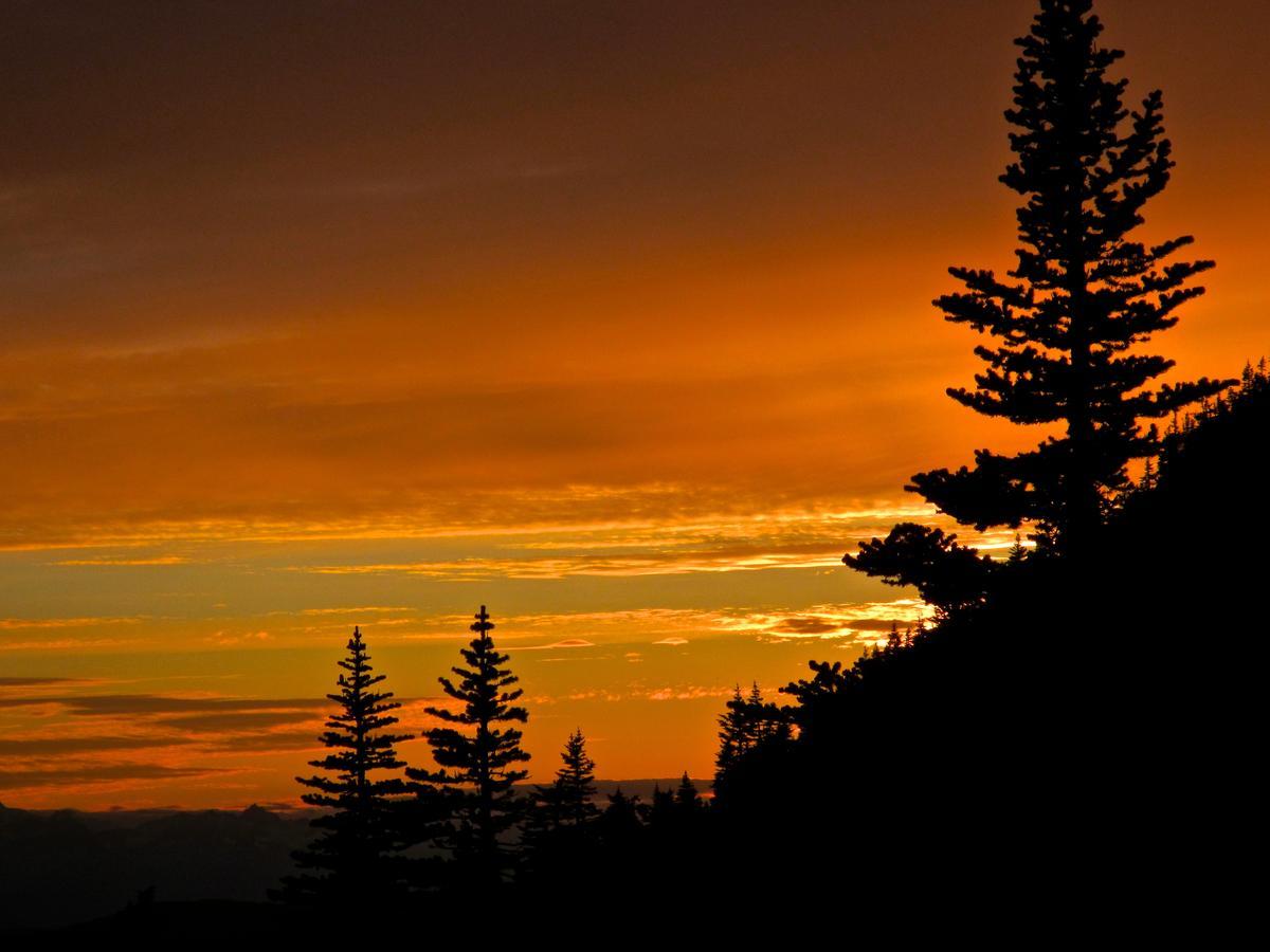 Bear Claw Lodge Kispiox Kültér fotó