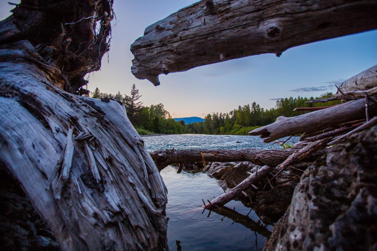 Bear Claw Lodge Kispiox Kültér fotó