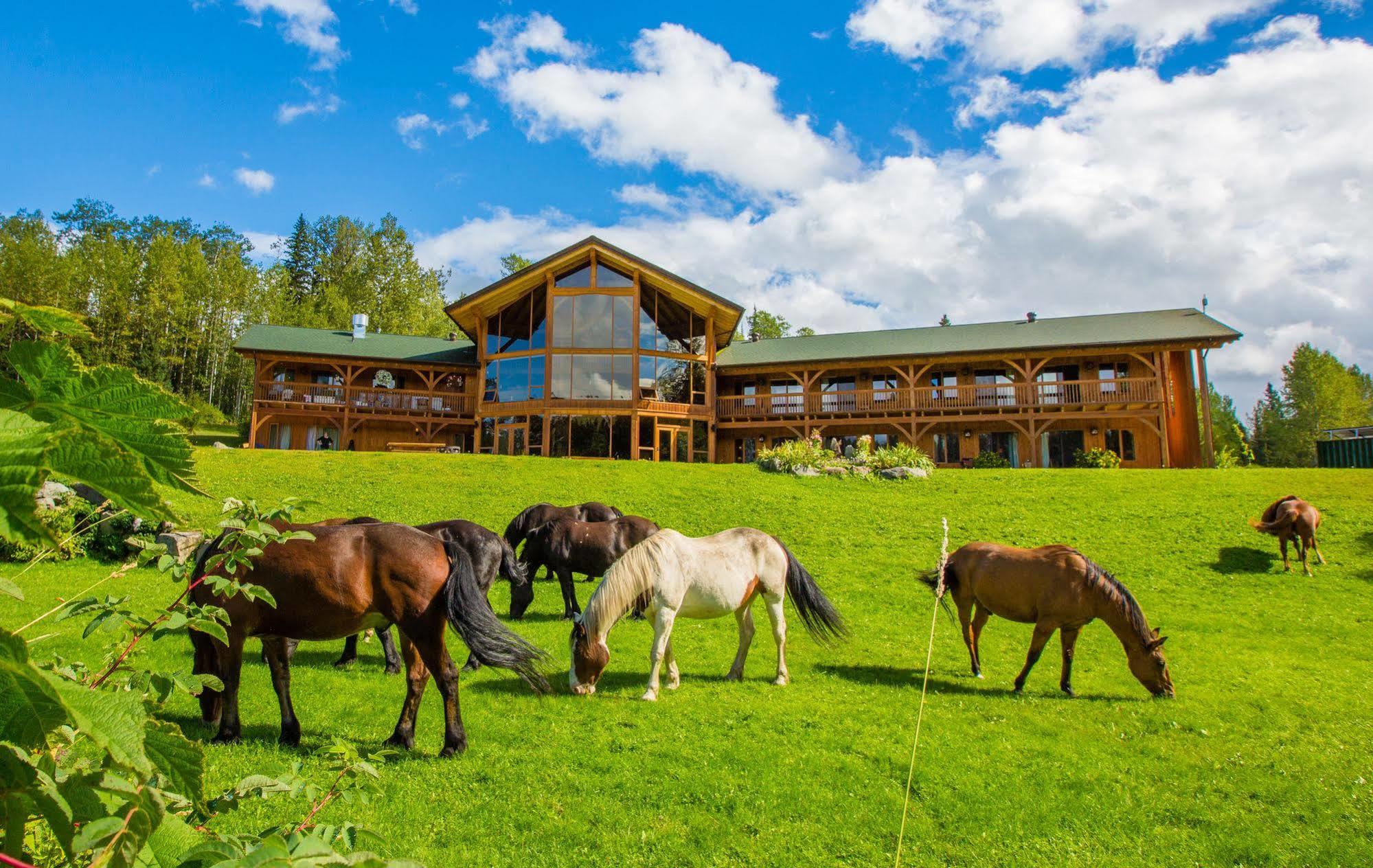 Bear Claw Lodge Kispiox Kültér fotó